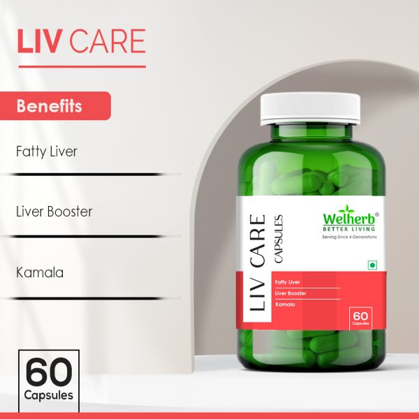 Ayurvedic Medicine for Liver