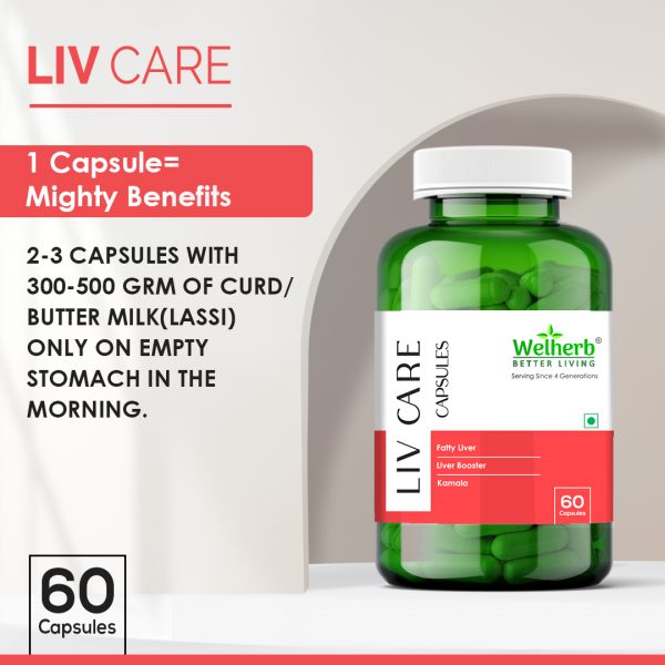 Ayurvedic Medicine for Liver