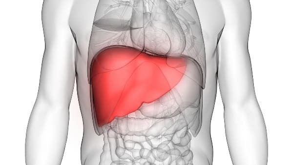 Bless your liver with the best of health