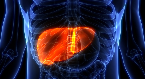 What to know before eating Liver Medicine?
